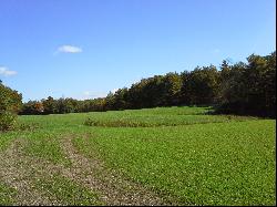 395 Private Acres with Scenic Views   