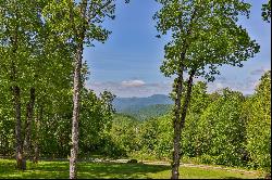 55 High Point View, Scaly Mountain, NC 28775