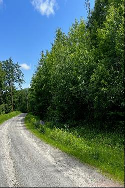 Located between Okemo and Killington