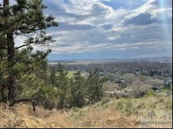 TBD Summit Ridge Road, Billings MT 59101