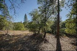 11186 Upper Previtali Rd, Jackson CA 95642