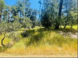 0 Burton Drive, Cambria CA 93428