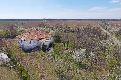 Deliu Manor, boyar property in Bucharest's vicinity