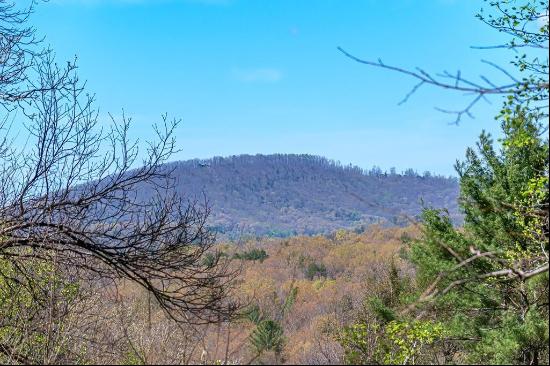 Mineral Bluff Land