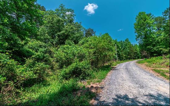 Mineral Bluff Land