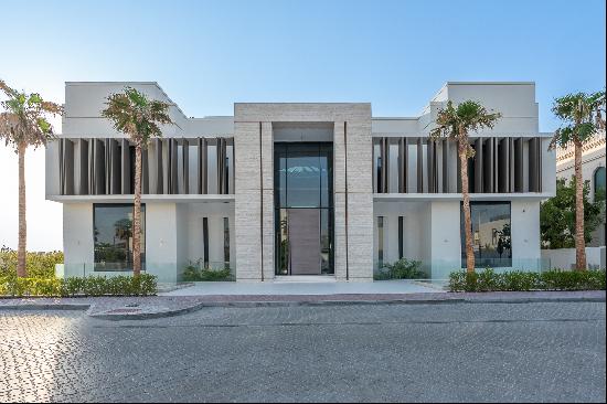 Custom Mansion with Rooftop Terrace