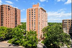 Hanley Towers has a newly renovated condo on the 15th floor. 