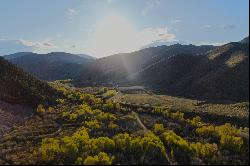 8.14 Acre Bench Lot with Private Access to Milligan Canyon