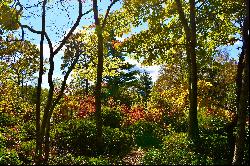 TANAWHA - BLOWING ROCK