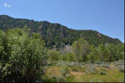 A 14.36 Acre Private Lot Located on the Banks of Hyndman Creek