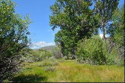 A 14.36 Acre Private Lot Located on the Banks of Hyndman Creek