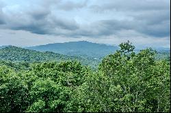 THE LODGES AT EAGLES NEST - BANNER ELK