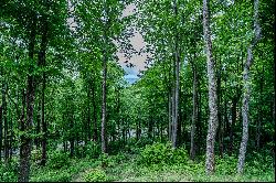 THE LODGES AT EAGLES NEST - BANNER ELK