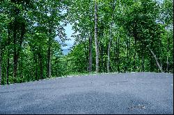 THE LODGES AT EAGLES NEST - BANNER ELK