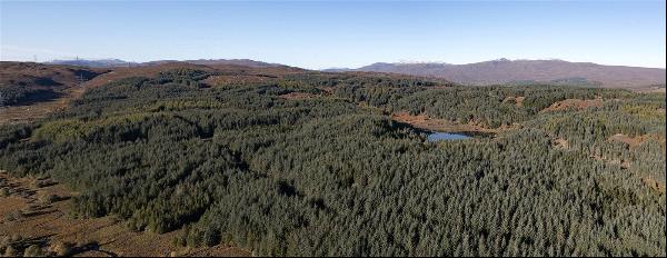 John Trower Wood, Beauly, Inverness-Shire, IV4 7JR