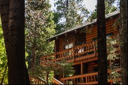 KIPS CABIN