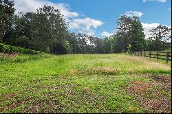 Opulent Gated Estate in Alpharetta's The Paddocks