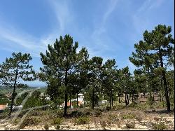 Premium Plot 3909 sqm, Casas da Colina, unobstructed view, private condominium