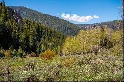 16300 Frying Pan Road, Basalt, CO, 81621