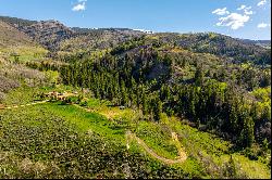 16300 Frying Pan Road, Basalt, CO, 81621