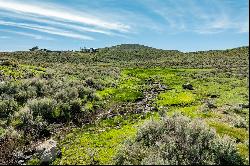 1.5 Acres in Browns Canyon with a Stream Running Through It