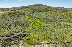 1.5 Acres in Browns Canyon with a Stream Running Through It