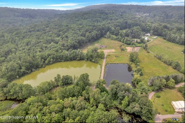 Harveys Lake