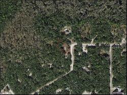 Rim Rock Street, Webster FL 33597