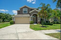 16651 Myrtle Sand Drive, Wimauma FL 33598