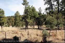 106-108 Highway 48, Alto NM 88312