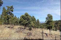 106-108 Highway 48, Alto NM 88312