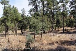 106-108 Highway 48, Alto NM 88312