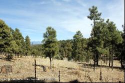 106-108 Highway 48, Alto NM 88312