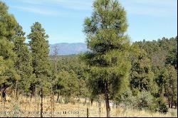 106-108 Highway 48, Alto NM 88312