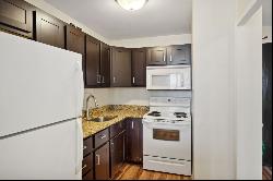 4250 N Marine Drive #2603, Chicago IL 60613