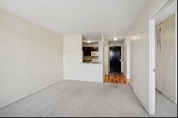 4250 N Marine Drive #2603, Chicago IL 60613