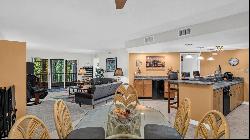 2533 Dolly Bay Drive #207, Palm Harbor FL 34684