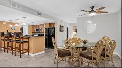 2533 Dolly Bay Drive #207, Palm Harbor FL 34684