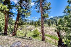 77 Alta Meadow Trail, Darby MT 59829