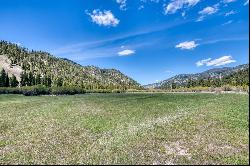 77 Alta Meadow Trail, Darby MT 59829