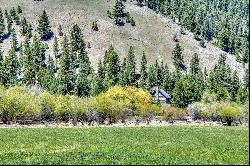 77 Alta Meadow Trail, Darby MT 59829