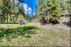 77 Alta Meadow Trail, Darby MT 59829