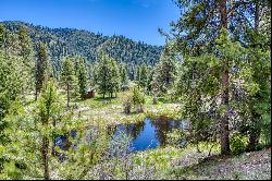 77 Alta Meadow Trail, Darby MT 59829