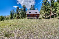 77 Alta Meadow Trail, Darby MT 59829