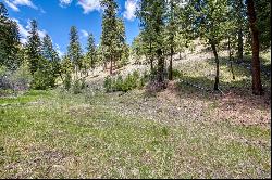 77 Alta Meadow Trail, Darby MT 59829