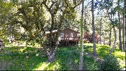 20111 Old Cazadero Road, Guerneville, CA 95446