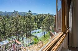 314 N Tamarron Drive Unit 101, Durango, CO 81301