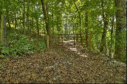 Gorgeous Lot Adjoining US National Forest and Moments to Lake Blue Ridge