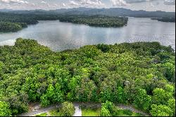 Gorgeous Lot Adjoining US National Forest and Moments to Lake Blue Ridge