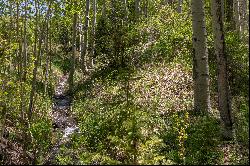 Land of Unparalleled Beauty Just Five Minutes From The Telluride Ski Resort